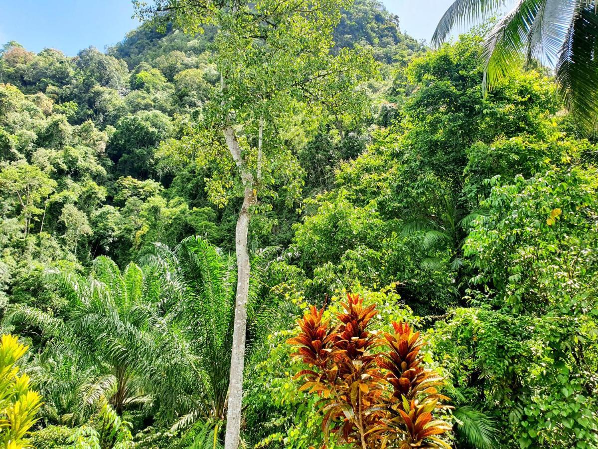 カオソック シルバー クリフ リゾート Khao Sok National Park 部屋 写真