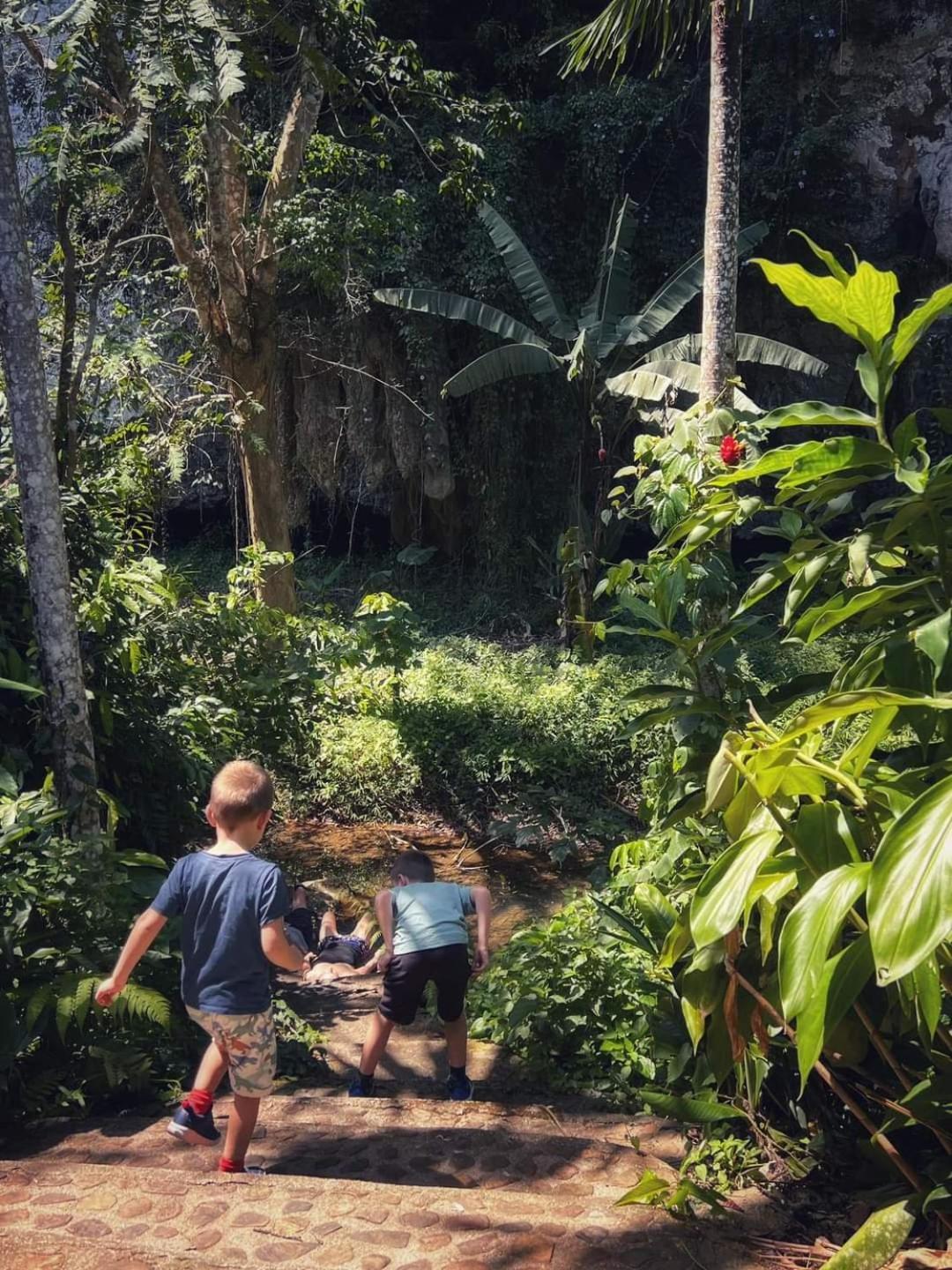 カオソック シルバー クリフ リゾート Khao Sok National Park エクステリア 写真
