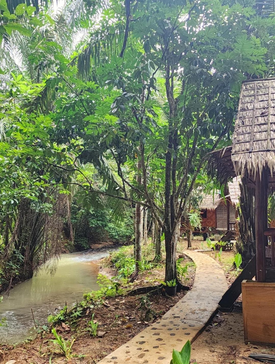カオソック シルバー クリフ リゾート Khao Sok National Park 部屋 写真
