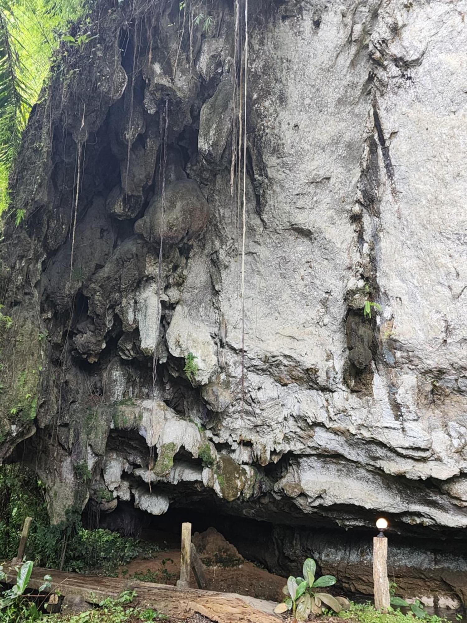 カオソック シルバー クリフ リゾート Khao Sok National Park 部屋 写真