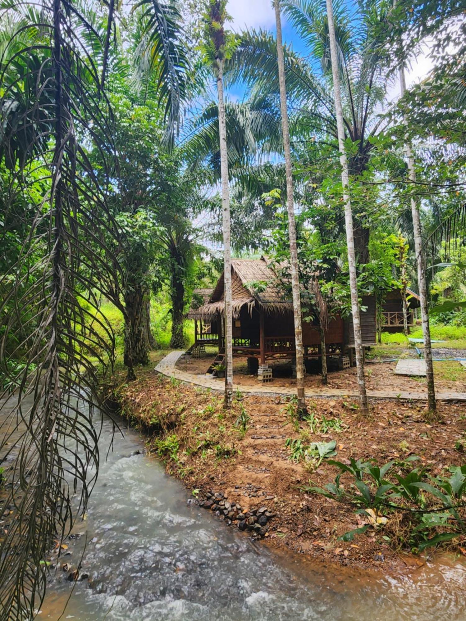 カオソック シルバー クリフ リゾート Khao Sok National Park 部屋 写真