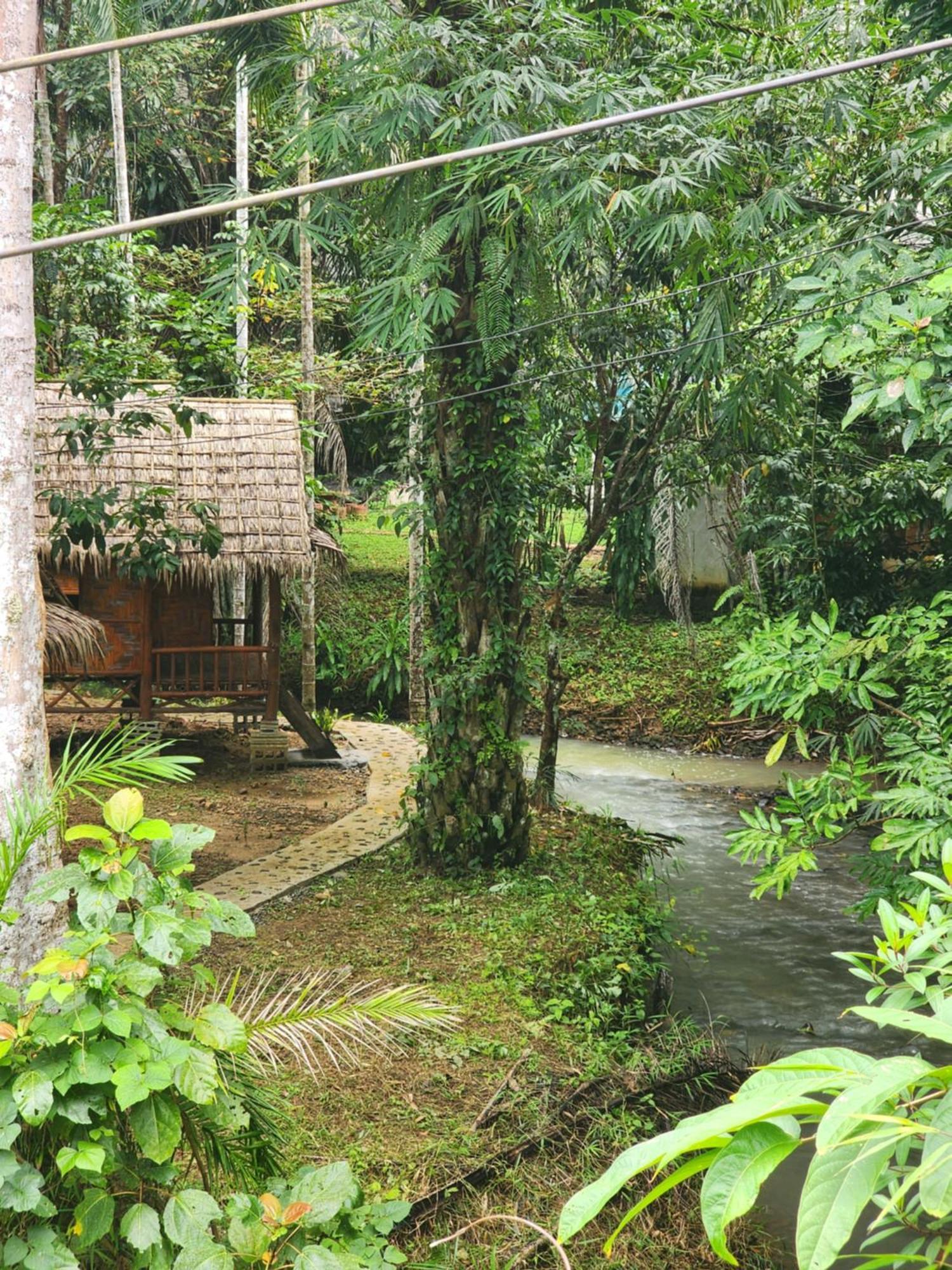 カオソック シルバー クリフ リゾート Khao Sok National Park 部屋 写真