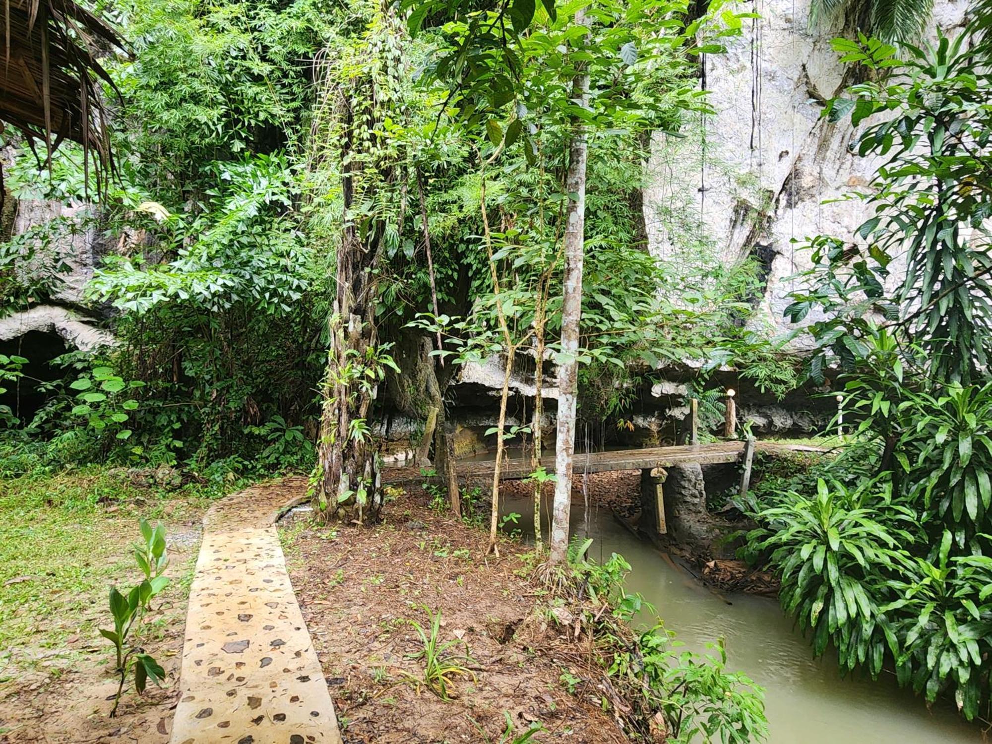 カオソック シルバー クリフ リゾート Khao Sok National Park 部屋 写真