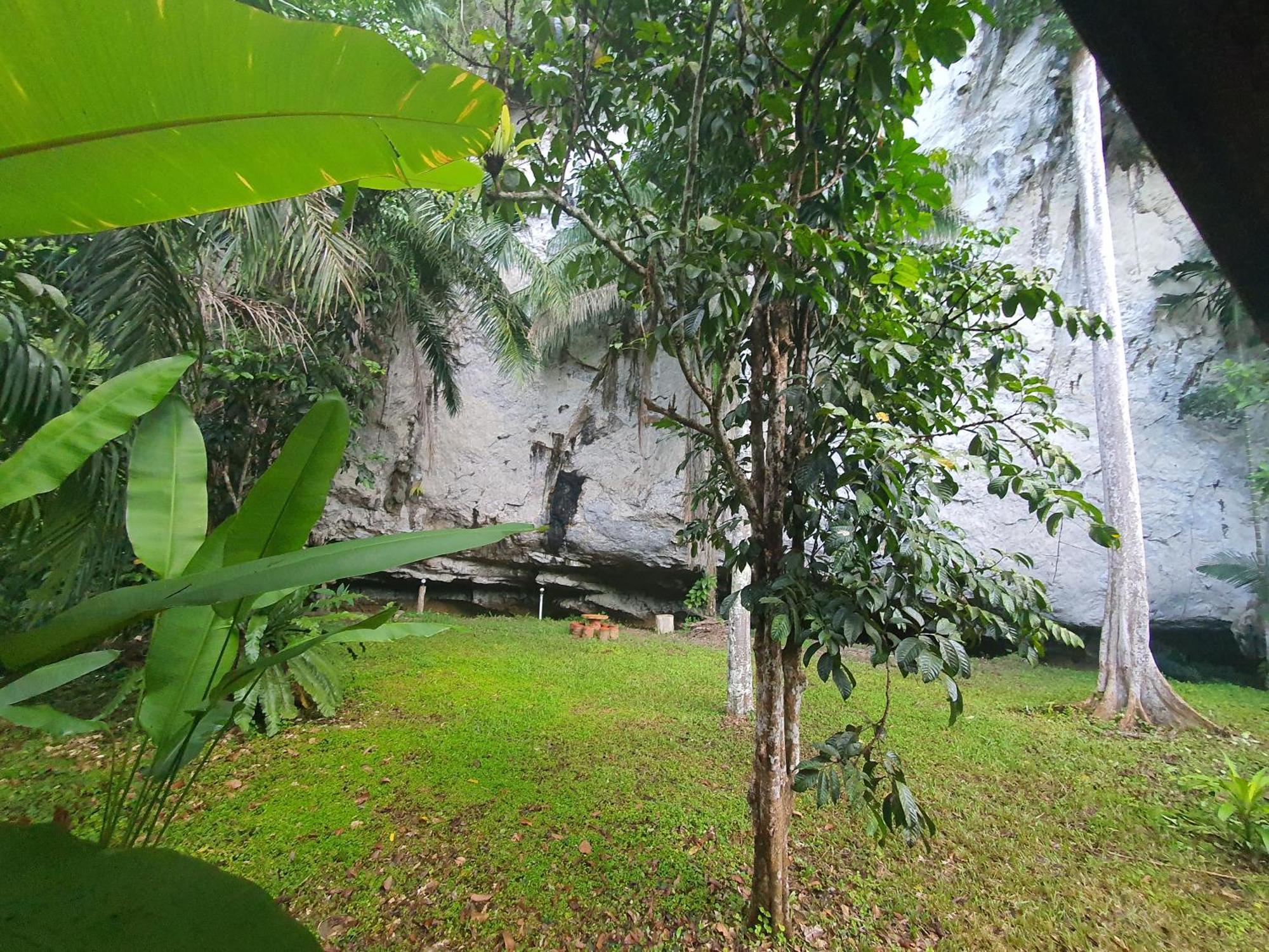 カオソック シルバー クリフ リゾート Khao Sok National Park 部屋 写真